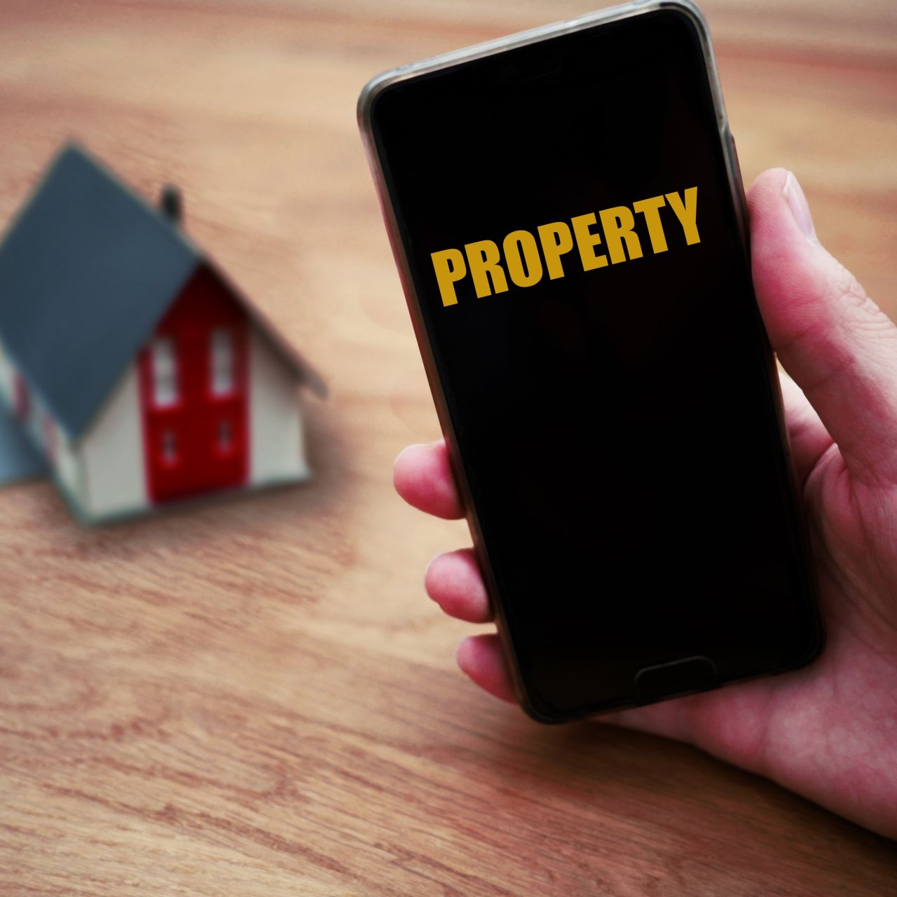 Profile of a private renter